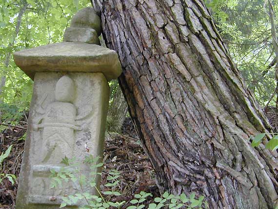廃村・大境の庚申塔は松の木に食い込む