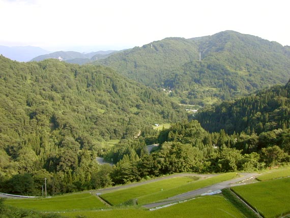 復元された八坂村の棚田と夏の風景