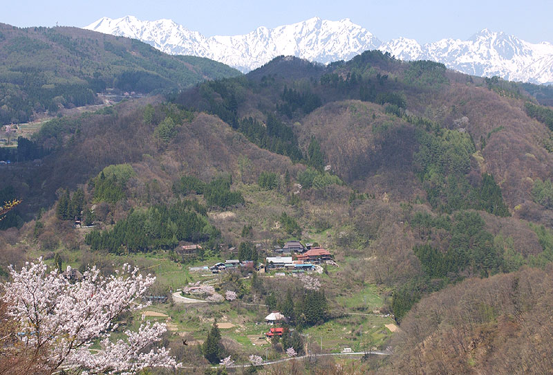 桜と山里の春